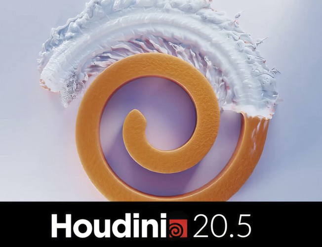 Houdini 20.5.278 Win [2024, ENG] | Размер: 2.38 GB